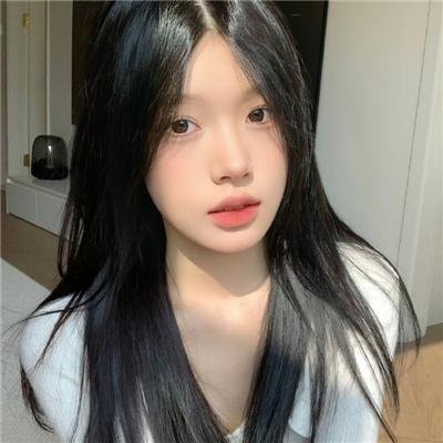 熊族之旅